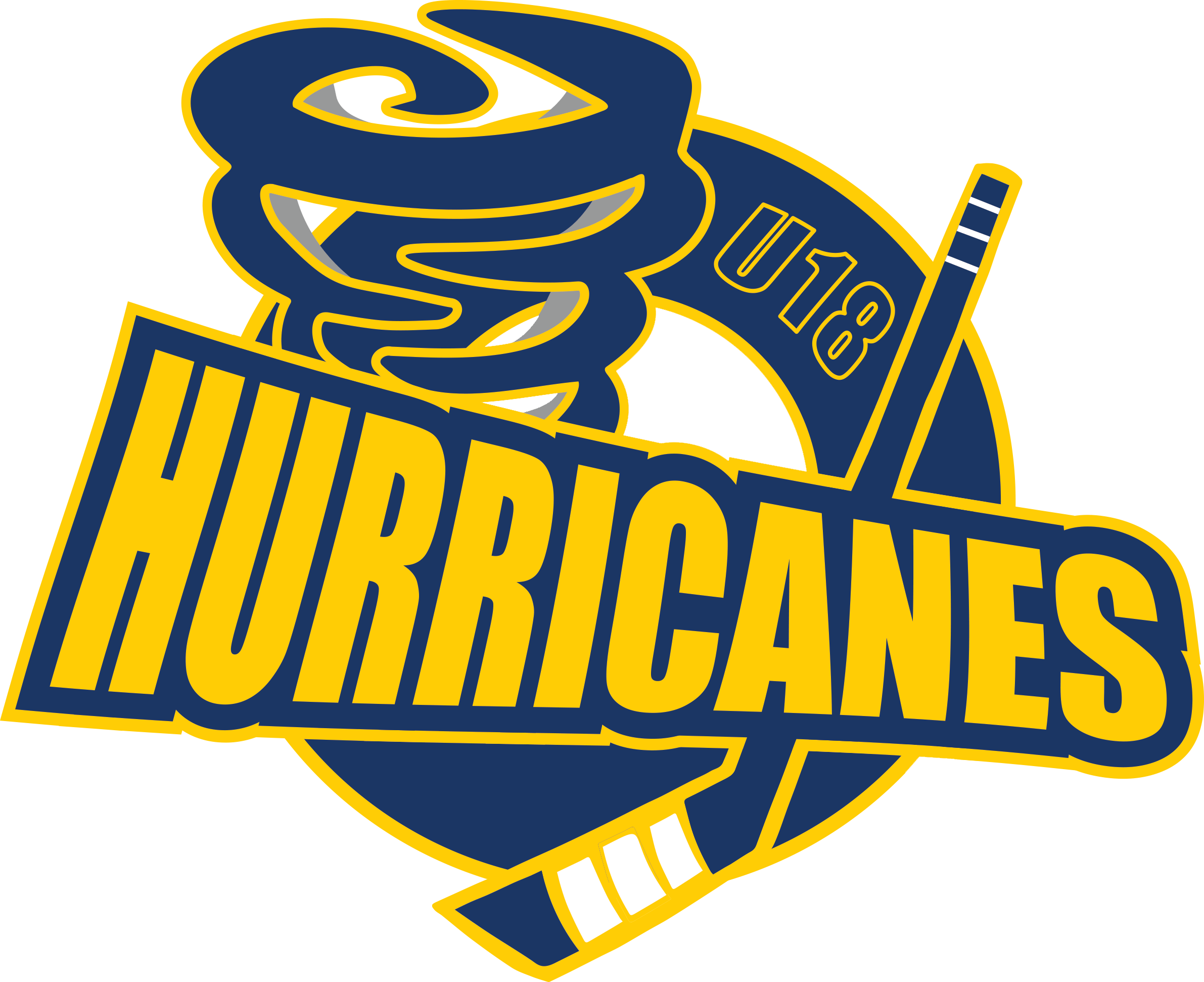 Dartmouth Whalers Hurricanes Dartmouth Minor Hockey Association