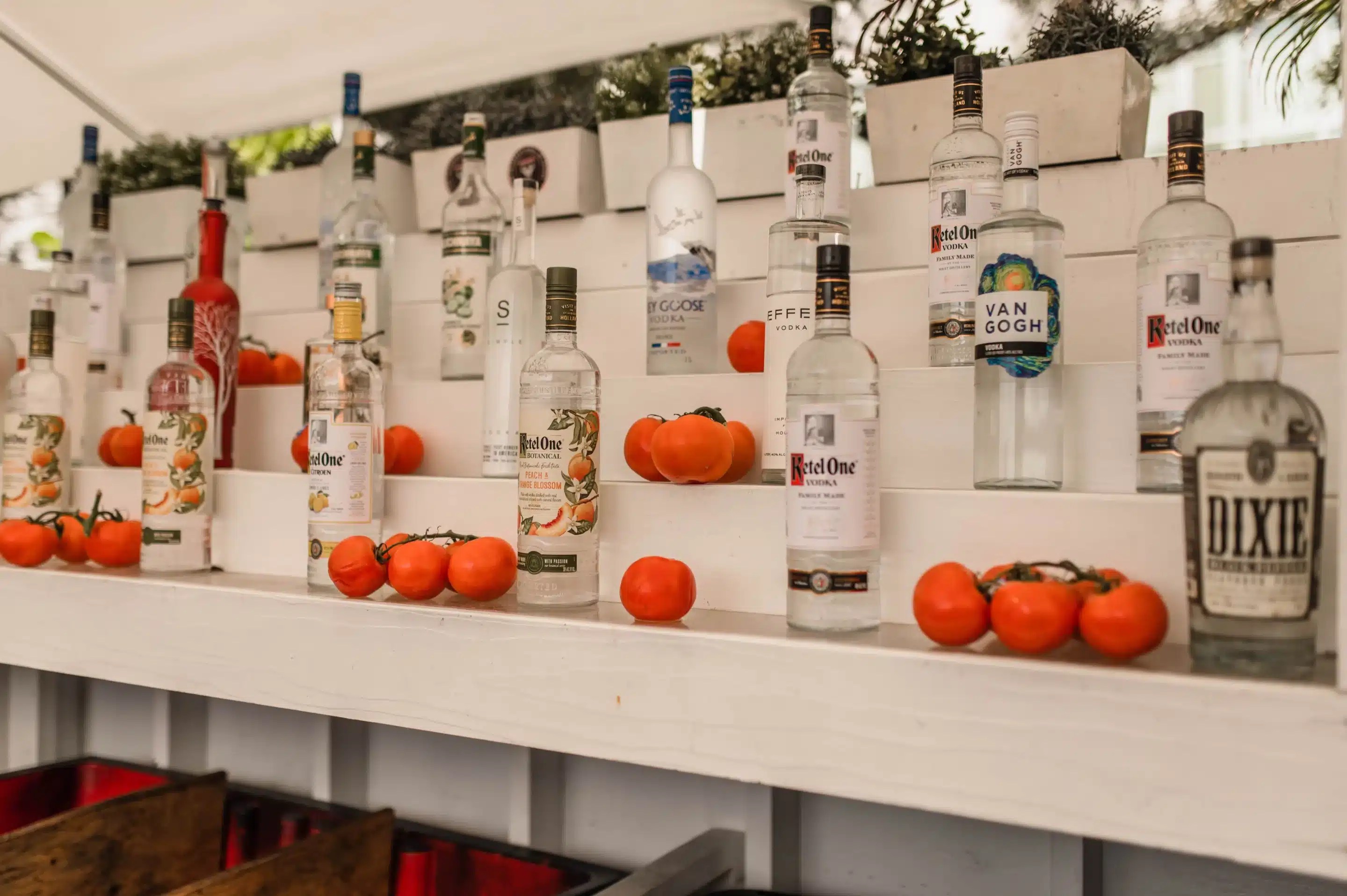 5 Of The Best Vodka Drinks You Need To Try