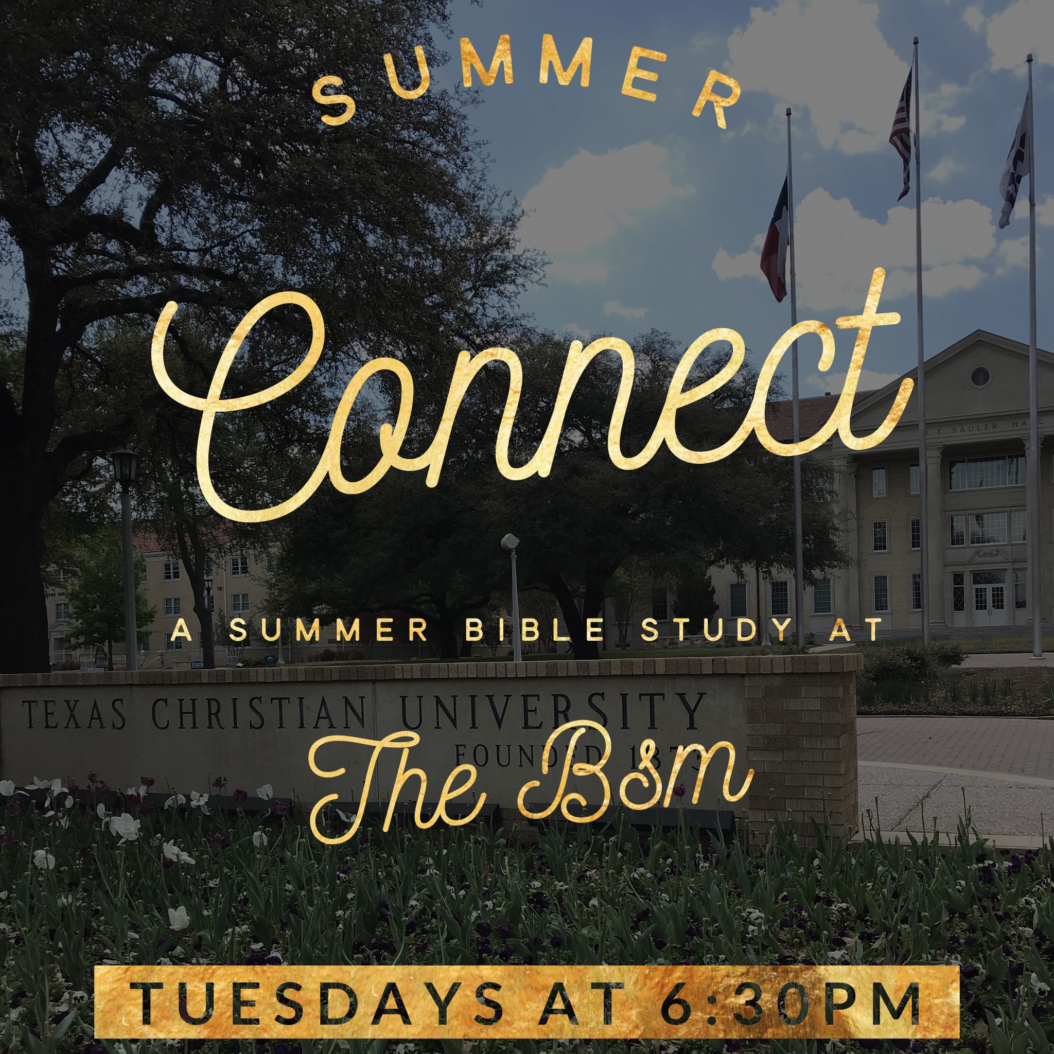 What2DoTCU Summer Connect Bible Study