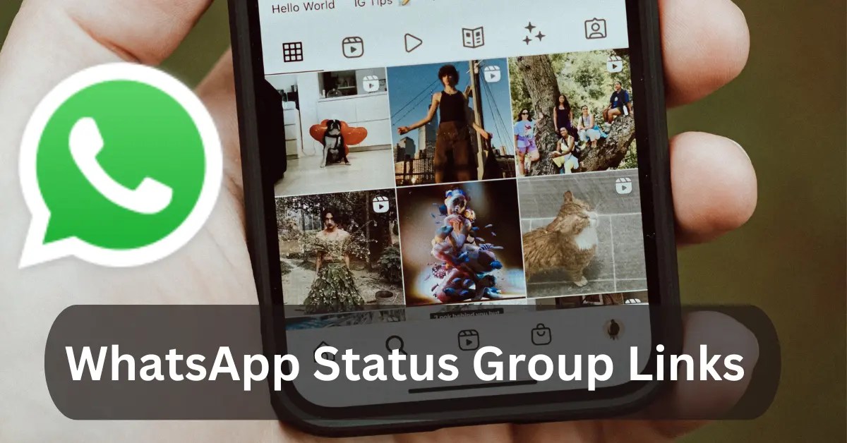 Join The Active 200+ WhatsApp Status Group Links [August 2024]