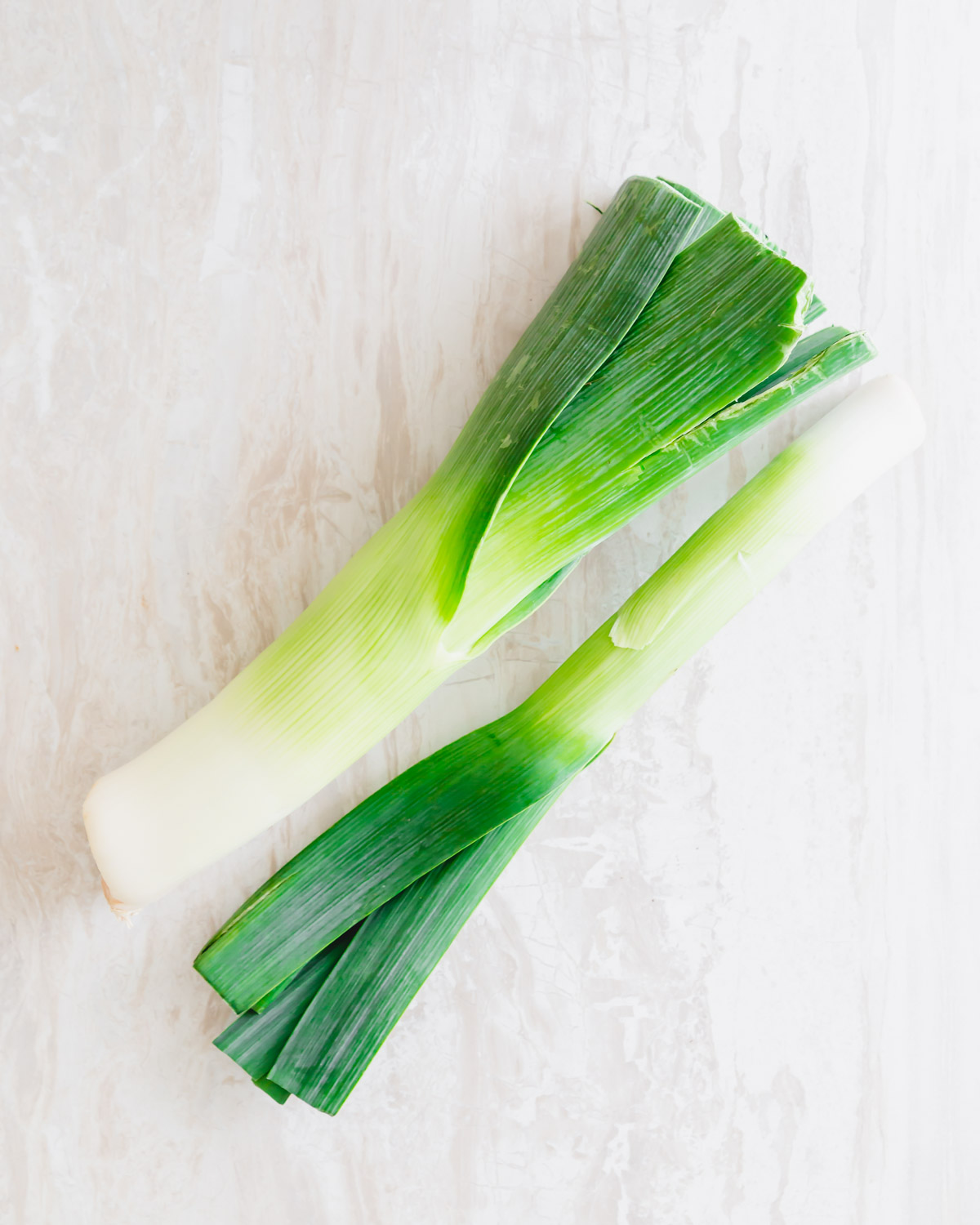 Top 16 Are Leeks Toxic To Dogs Lastest Updates 08/2022