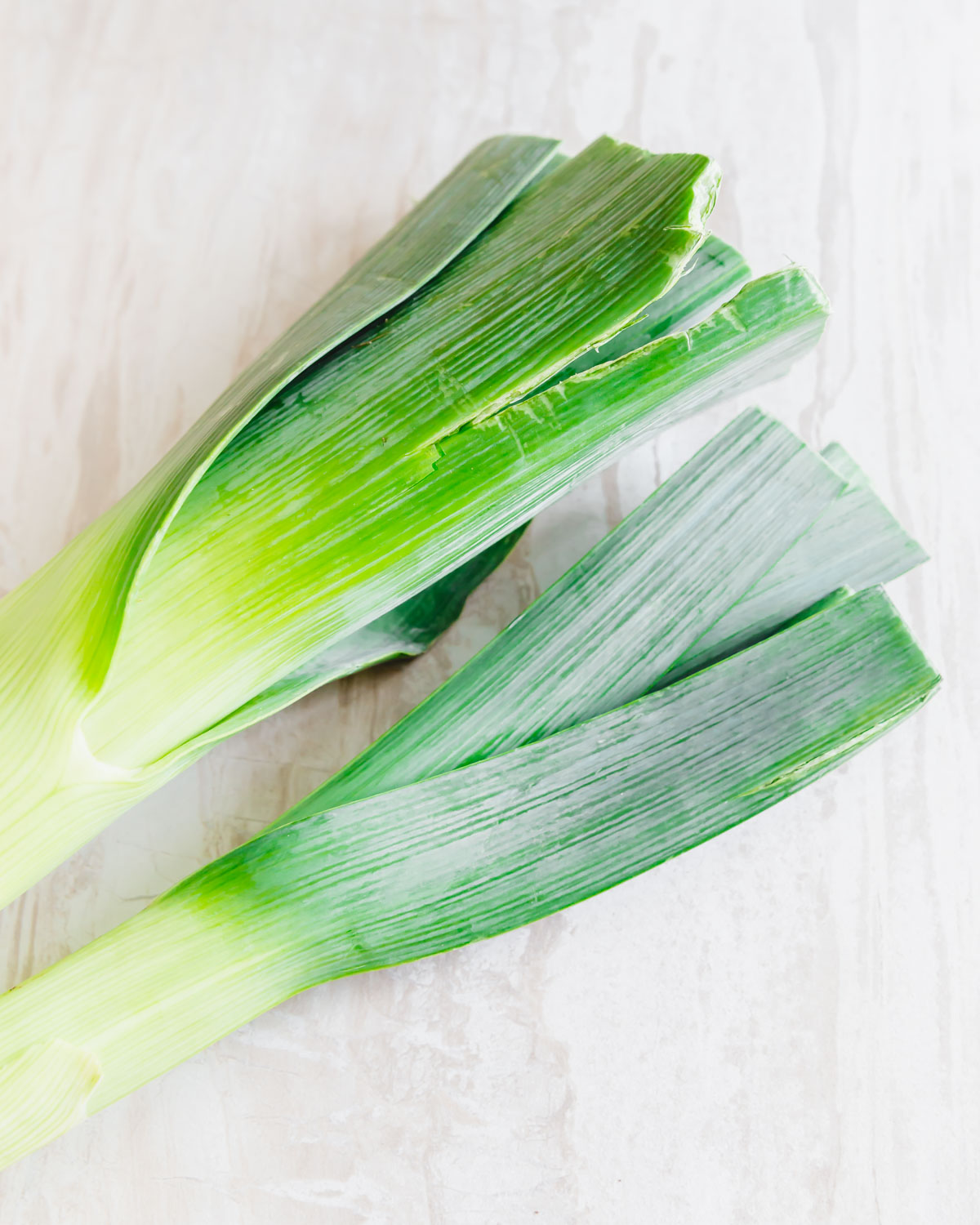 Can Dogs Eat Leeks? Are Leeks Safe For Dogs to Eat?