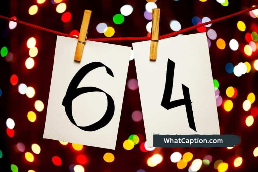 64th Birthday Captions for Instagram with Quotes What Caption?