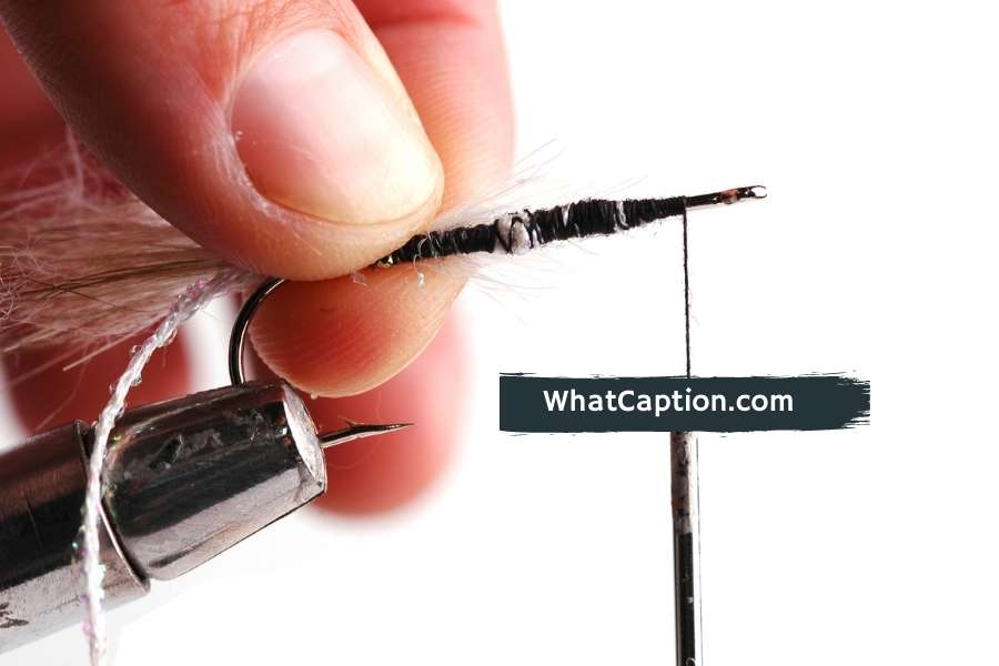 Fly Tying Quotes and Captions for Instagram What Caption?