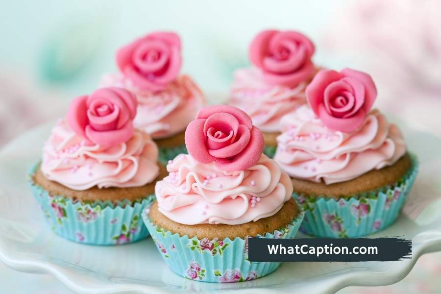 Cupcake Captions for Instagram with Quotes What Caption?