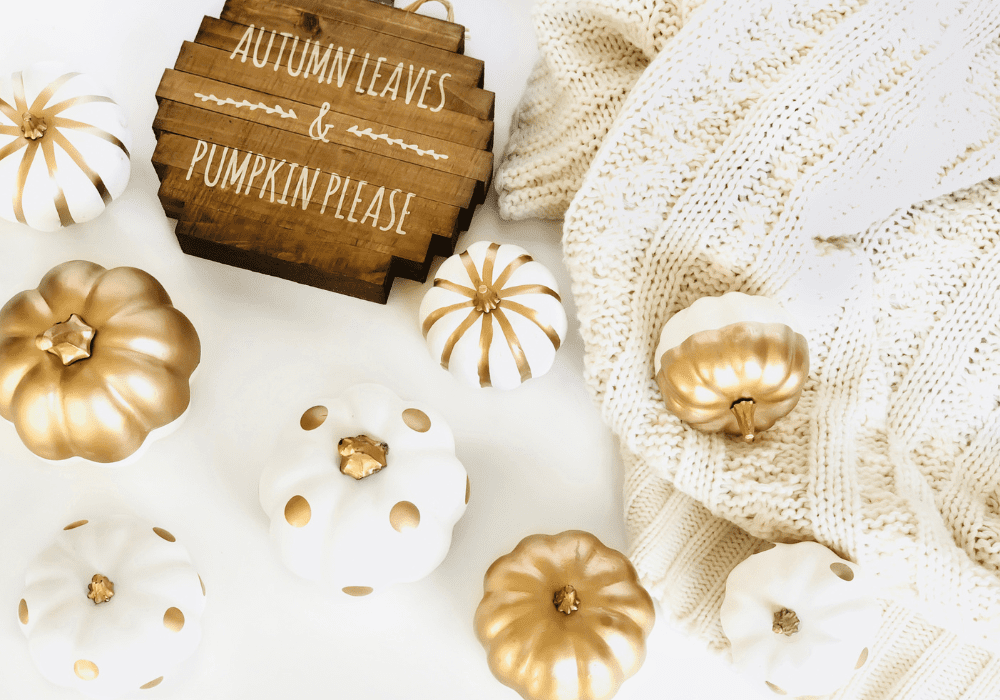 Thanksgiving Theme Ideas