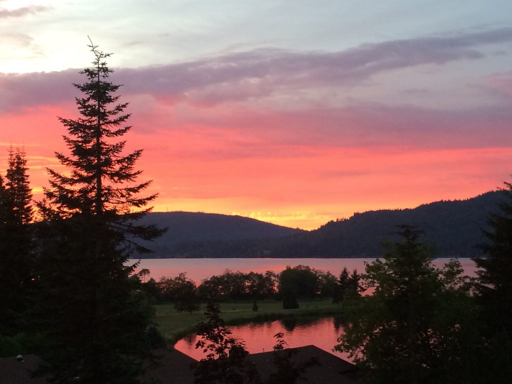 About Lake Watch Online