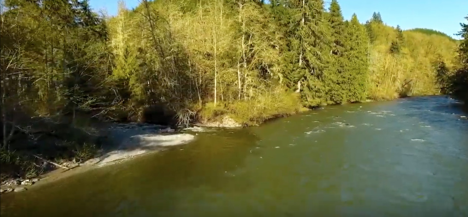 Skookum Creek Conservation Corridor Watch Online