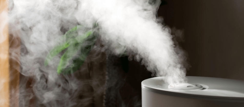 How to Raise Humidity in Grow Room Without Humidifier?