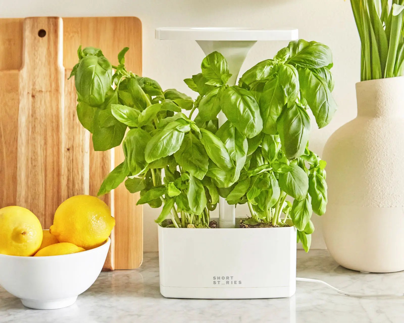 Short Stories LED Indoor Planter Is It Worth It? What for Me