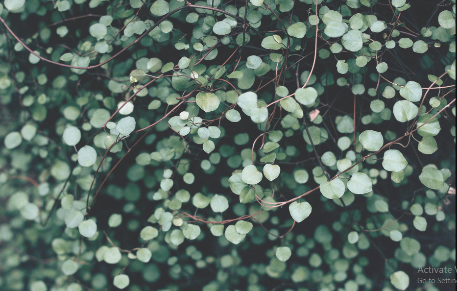 5 Wallpaper Trends To Watch Out For In 2022 WhatGuru