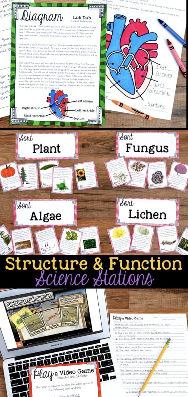 Structure and Function How Organisms Live, Behave, Reproduce, and Grow