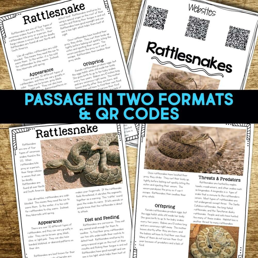 Can Rattlesnakes Smell