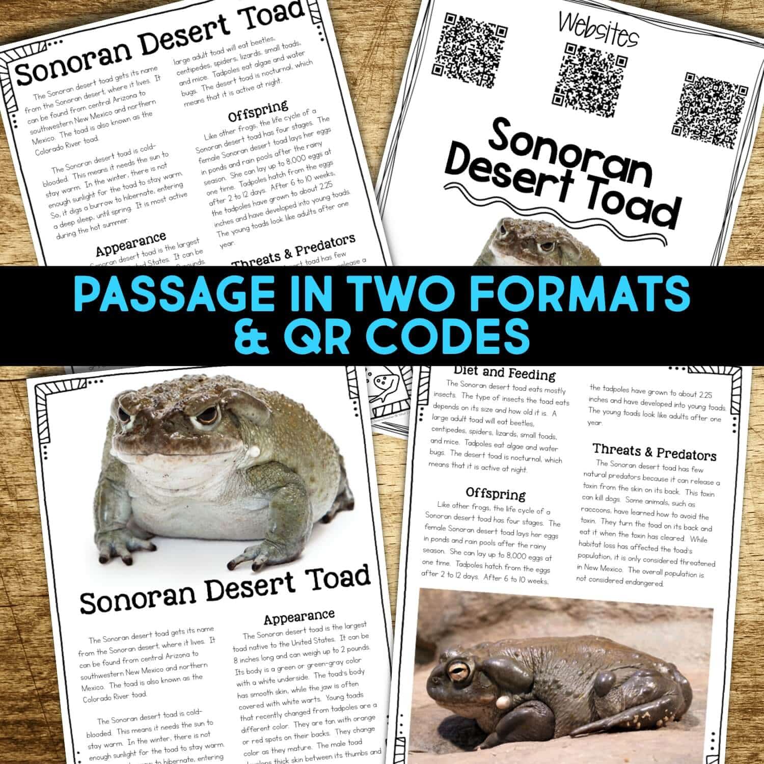 10+ Name Something That Might Get Rained Out LaeeqElias