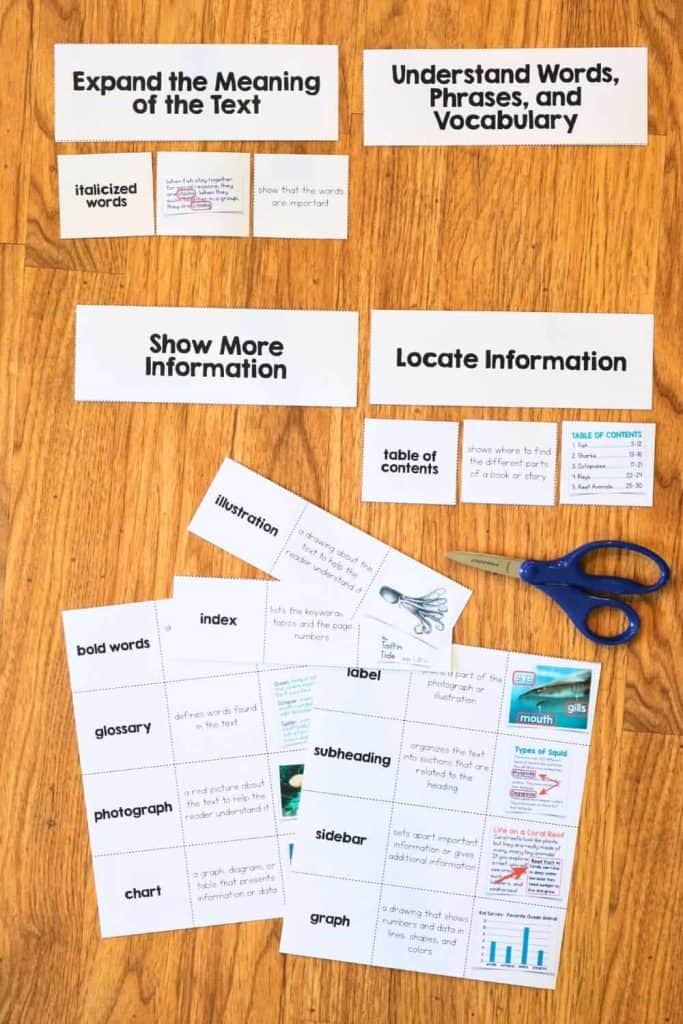 Effective Strategies for Teaching Text Features