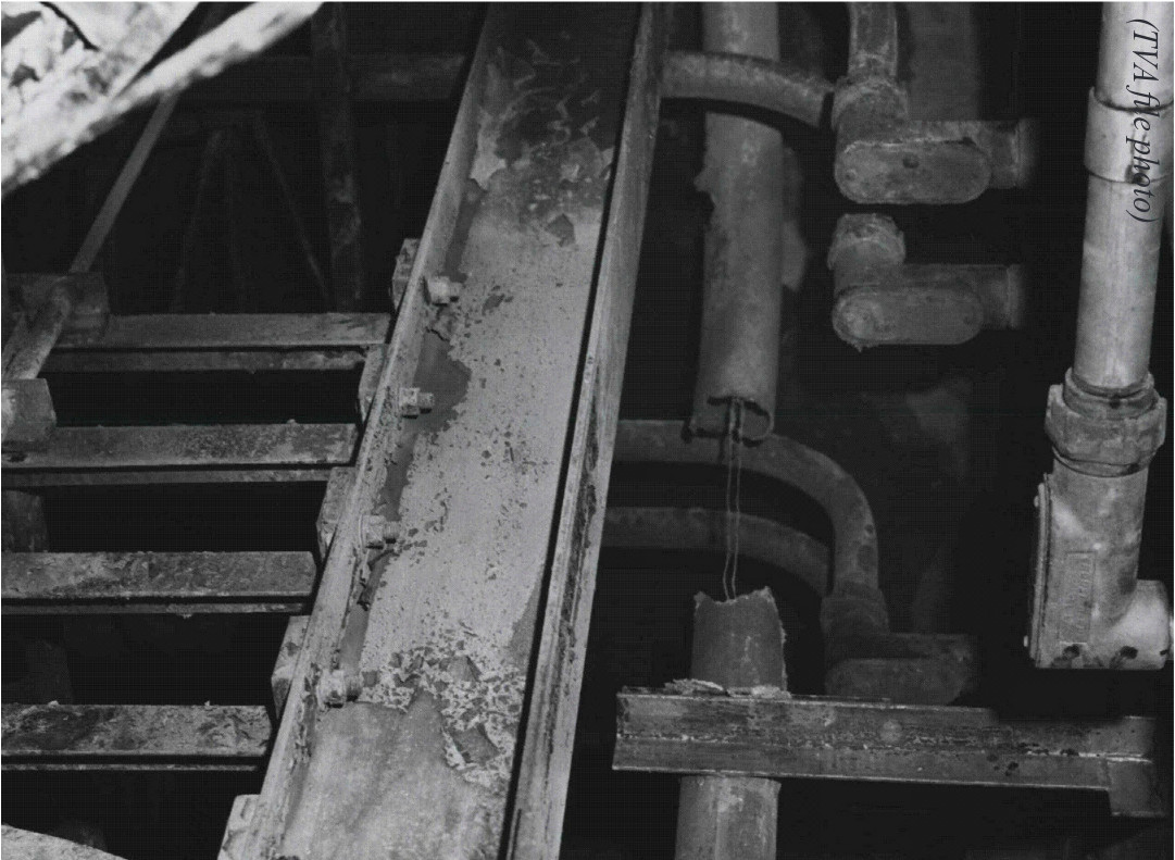 The Browns Ferry Fire