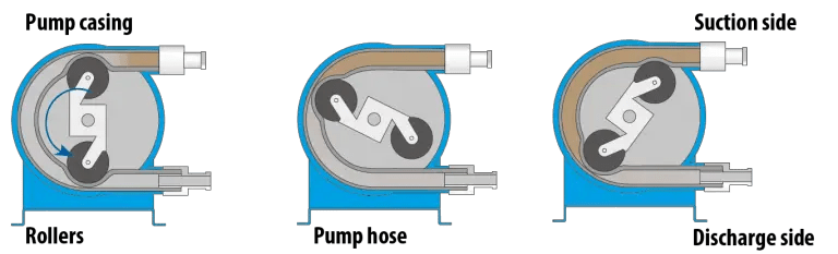 What is a Peristaltic Pump and How Do They Work? – Piping and Interface