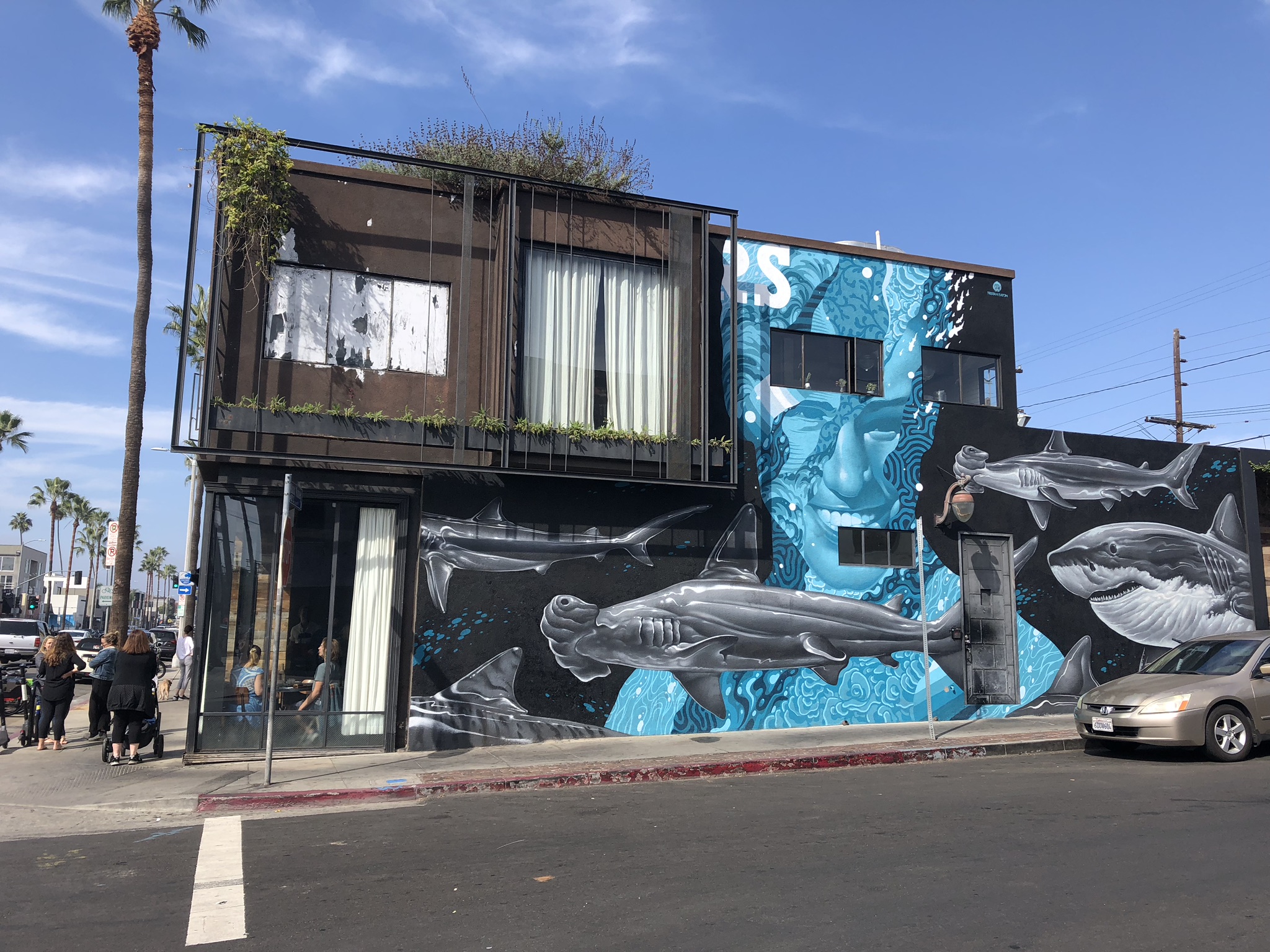 Abbot Kinney Boulevard, Los Angeles What Laura Did Next