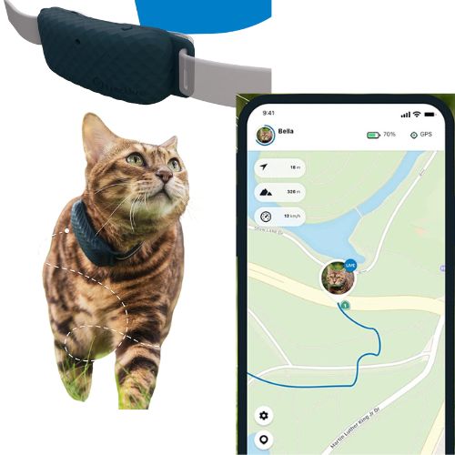 The 6 Best GPS Trackers for Cats in December 2023