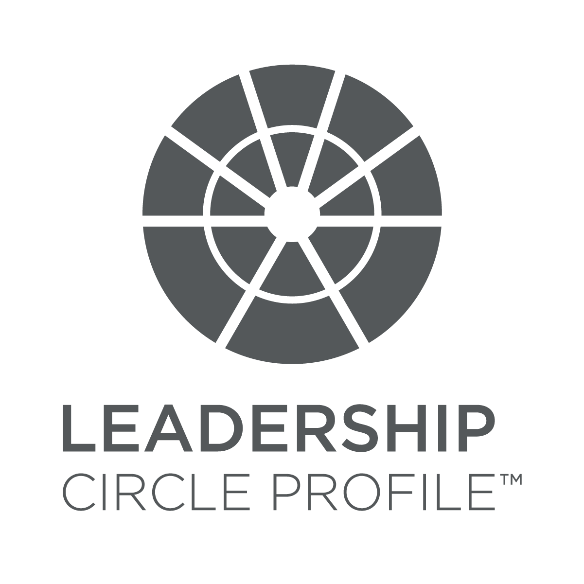 The Leadership Circle What Matters Coaching