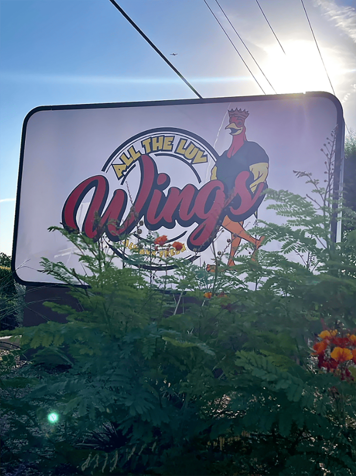 ATL Wings to Open Four New Stores Around Town What Now Phoenix