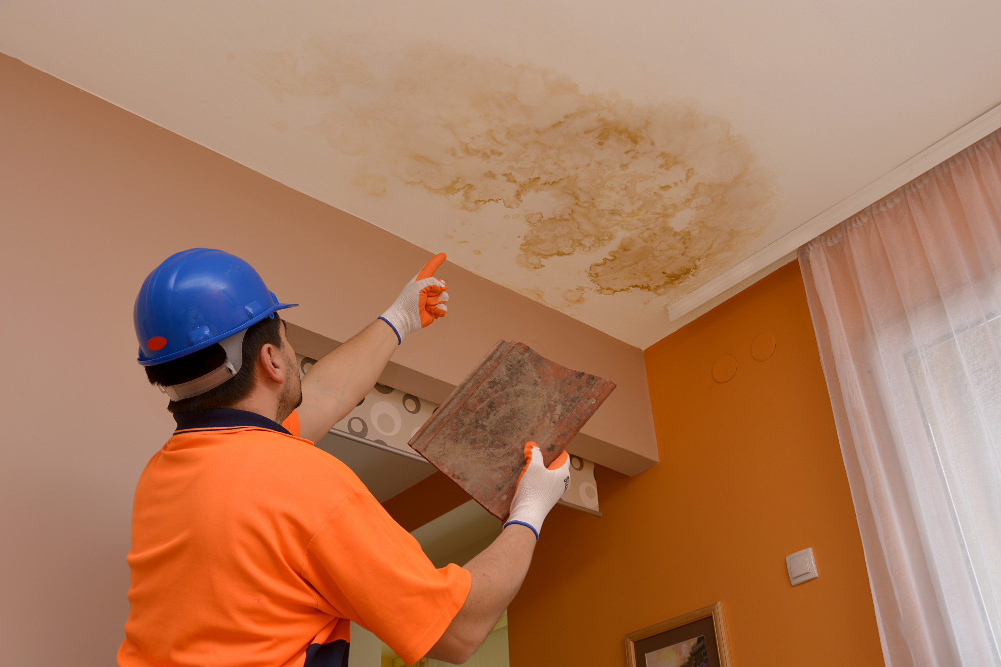 5 Warning Signs You Have Mold in Your House Kleen Breeze, Inc