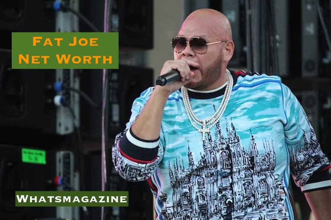Fat Joe Net Worth 2022 How Did He Start His Remarkable Journey