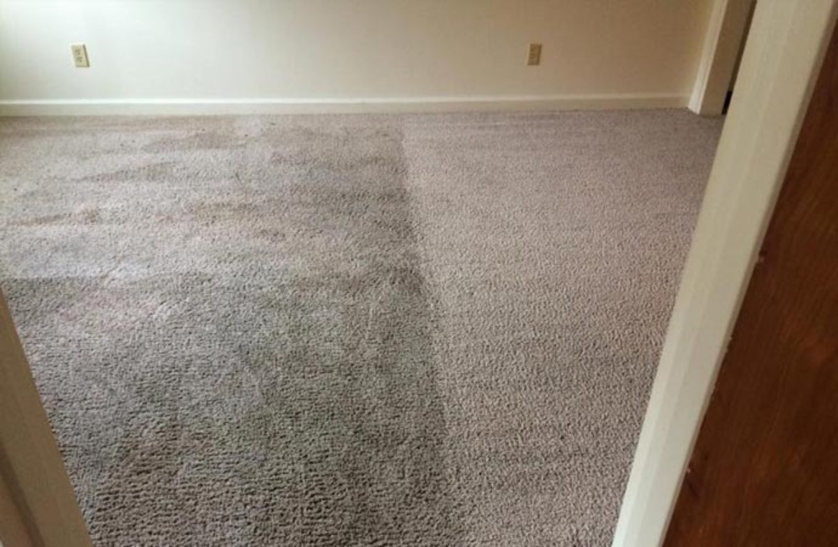 Can You Dye A Carpet With Dylon at Donald Leavell blog