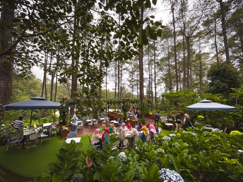 Golden Pine A Festive Forest Getaway for Delightful Dining What's