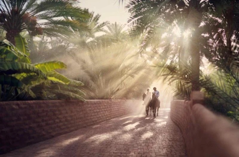 8 amazing things to do in Al Ain What's On