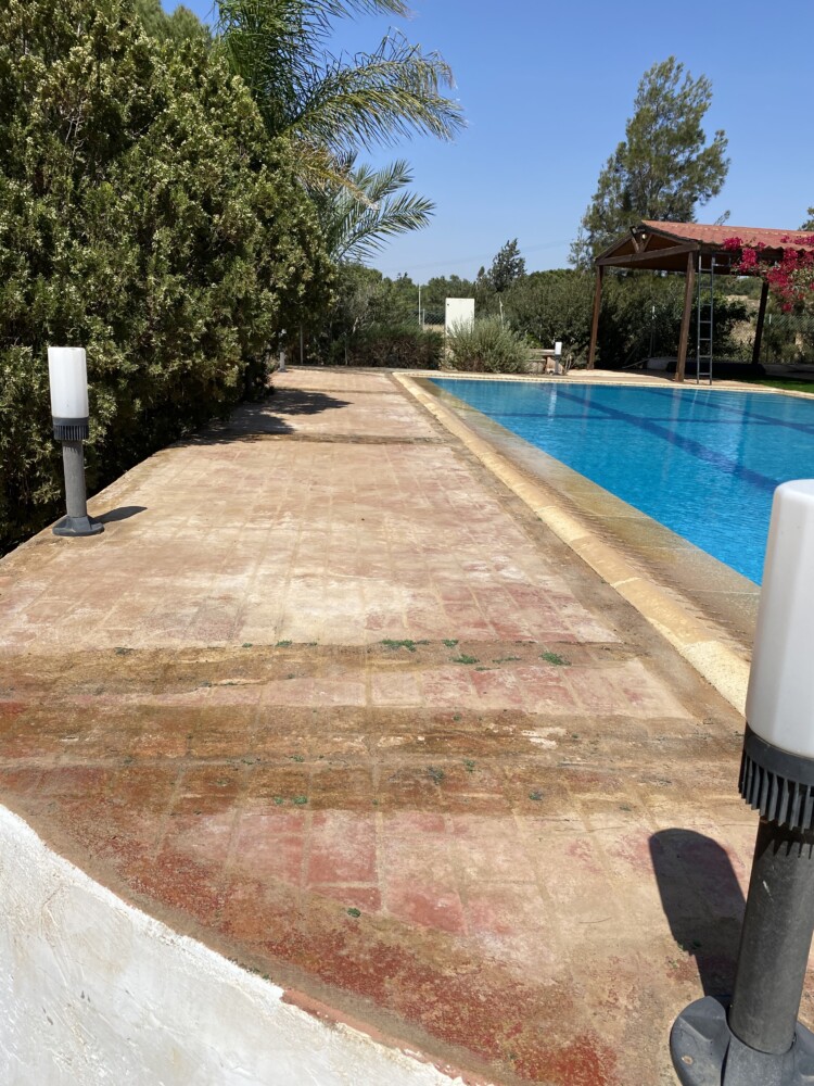 Artificial Grass by Rustic Furniture Collection, Paralimni What's On