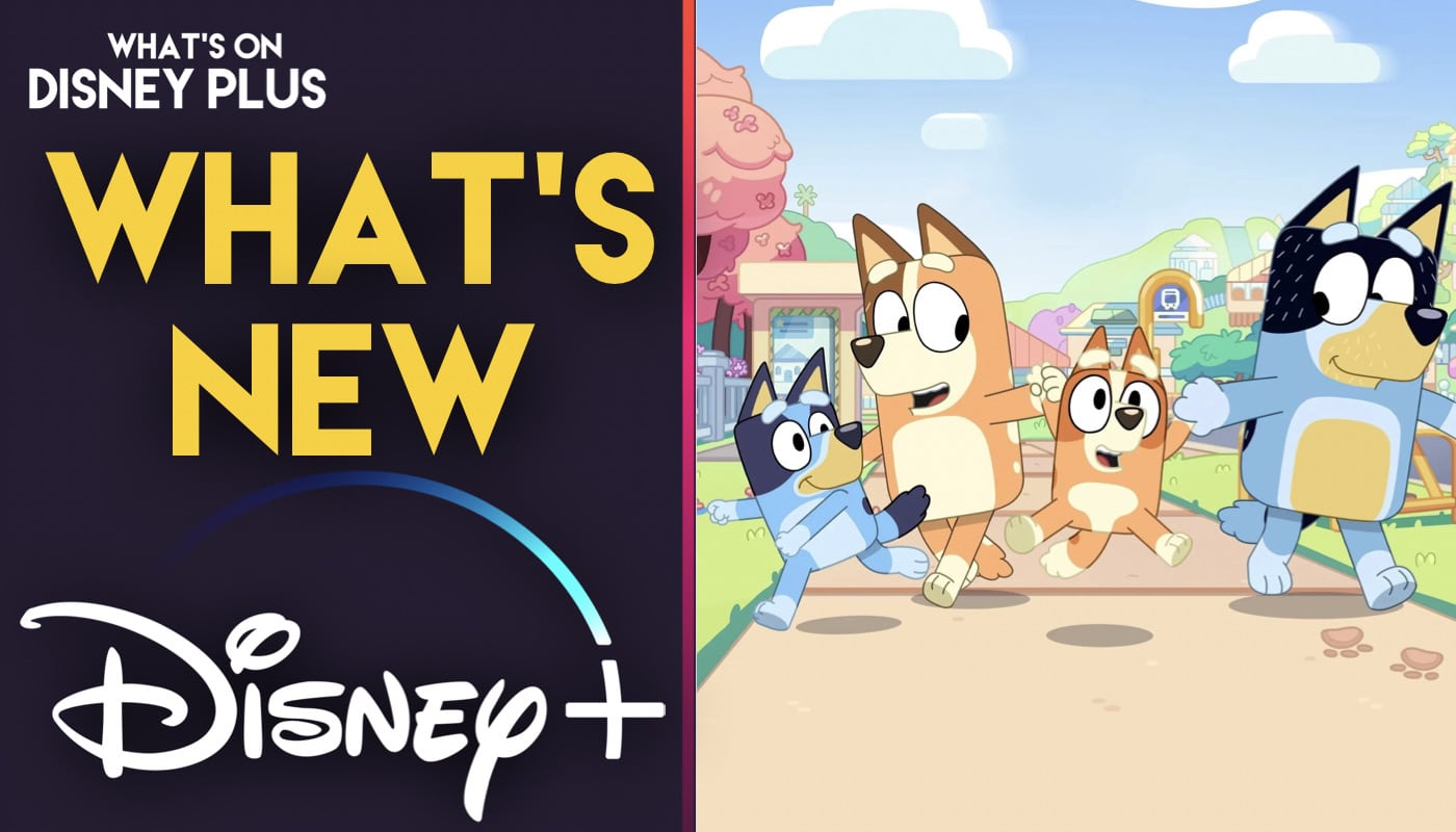 Complete List ‘Bluey’ Episodes Missing On Disney Plus (Updated) What