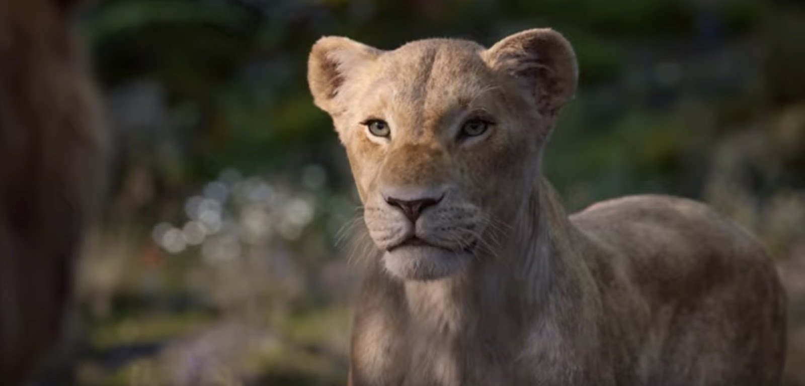 New Lion King Trailer Previews Beyoncé KnowlesCarter As Nala. What's