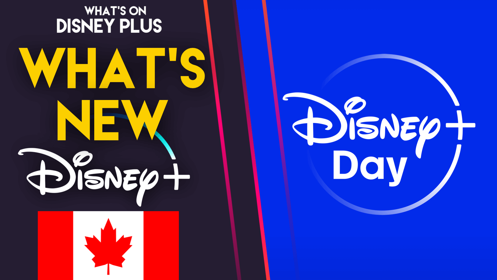 Disney Plus Canada June 2024 Cordi Marlane