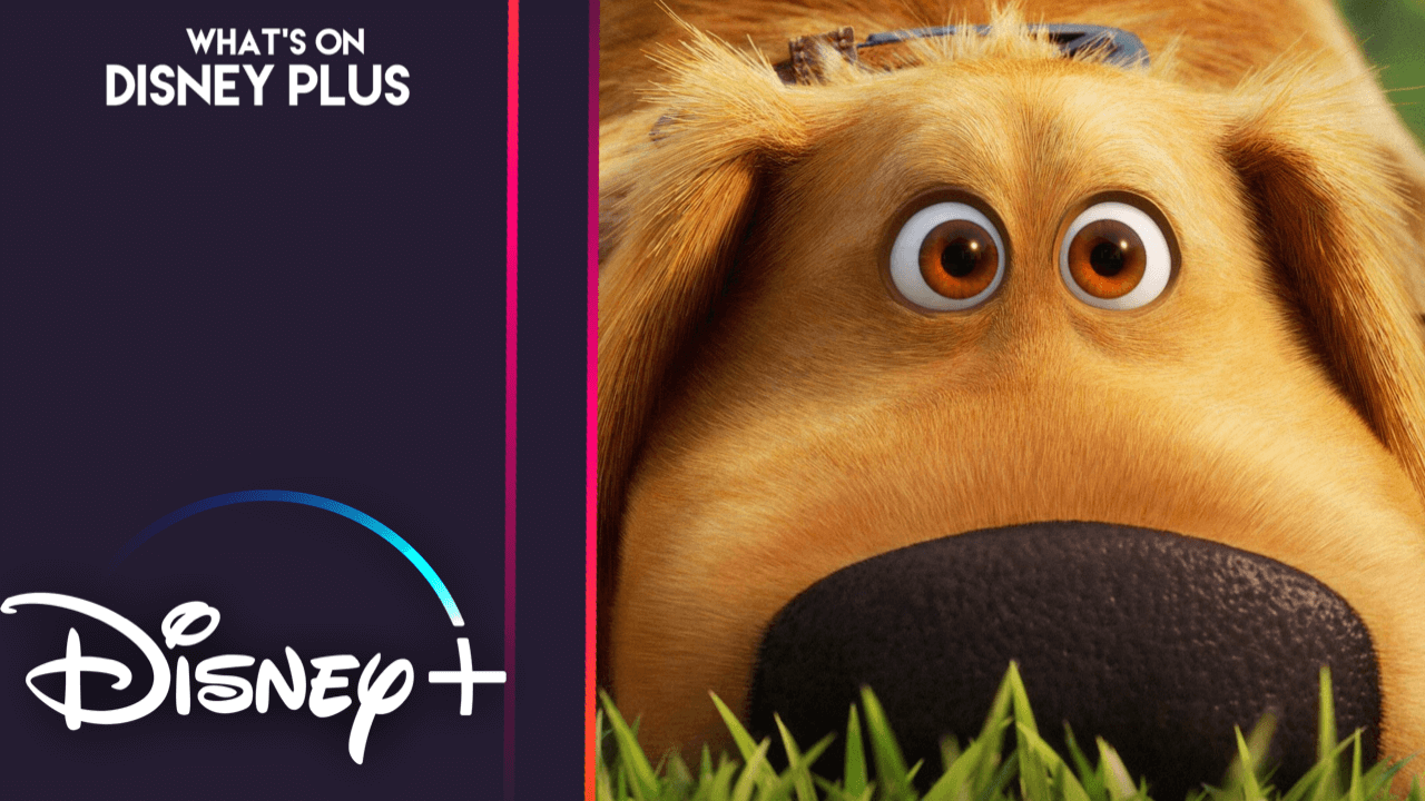What’s To Watch On Disney+ Dog Lovers What's On Disney Plus