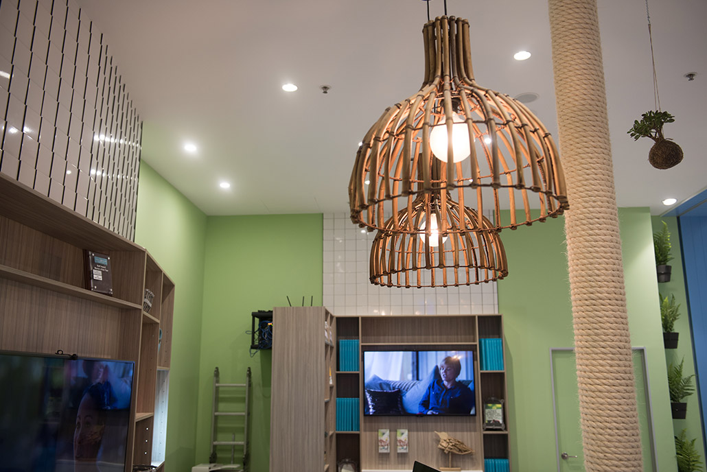 Tea Cup Cottage What's on Projects