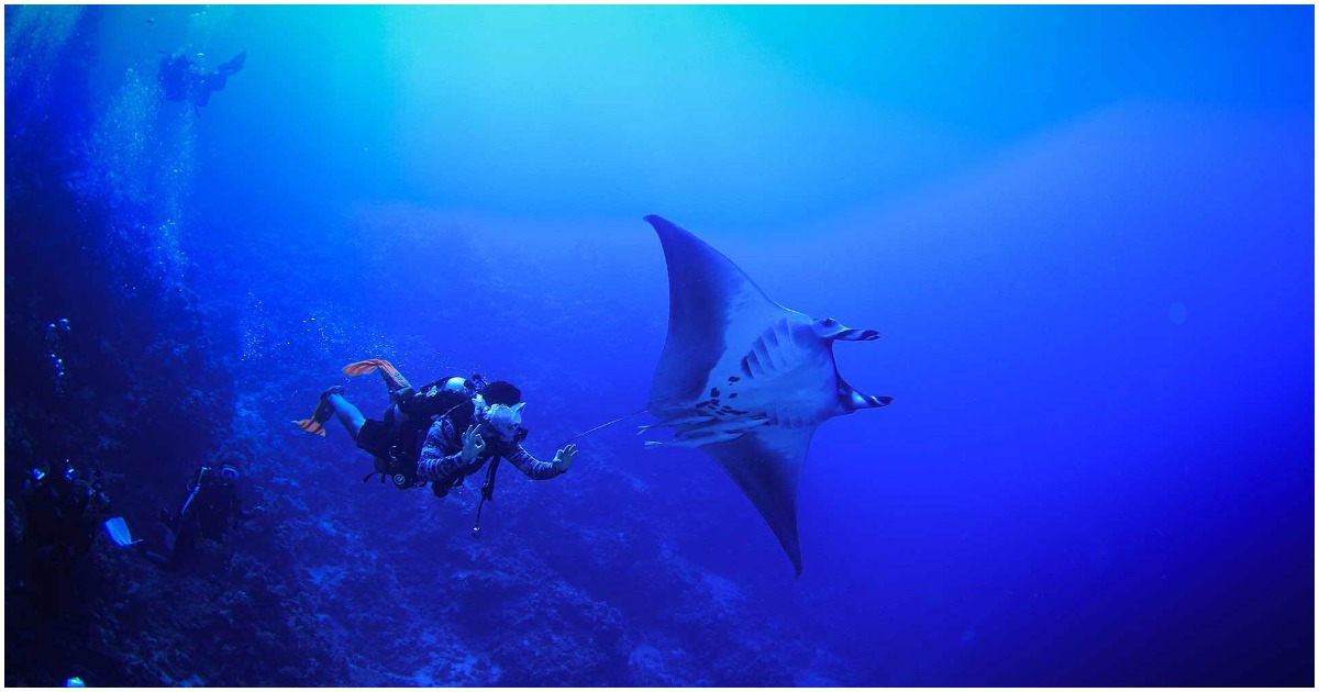 Discover the wonder of scuba diving in Jeddah Whats On Saudi Arabia