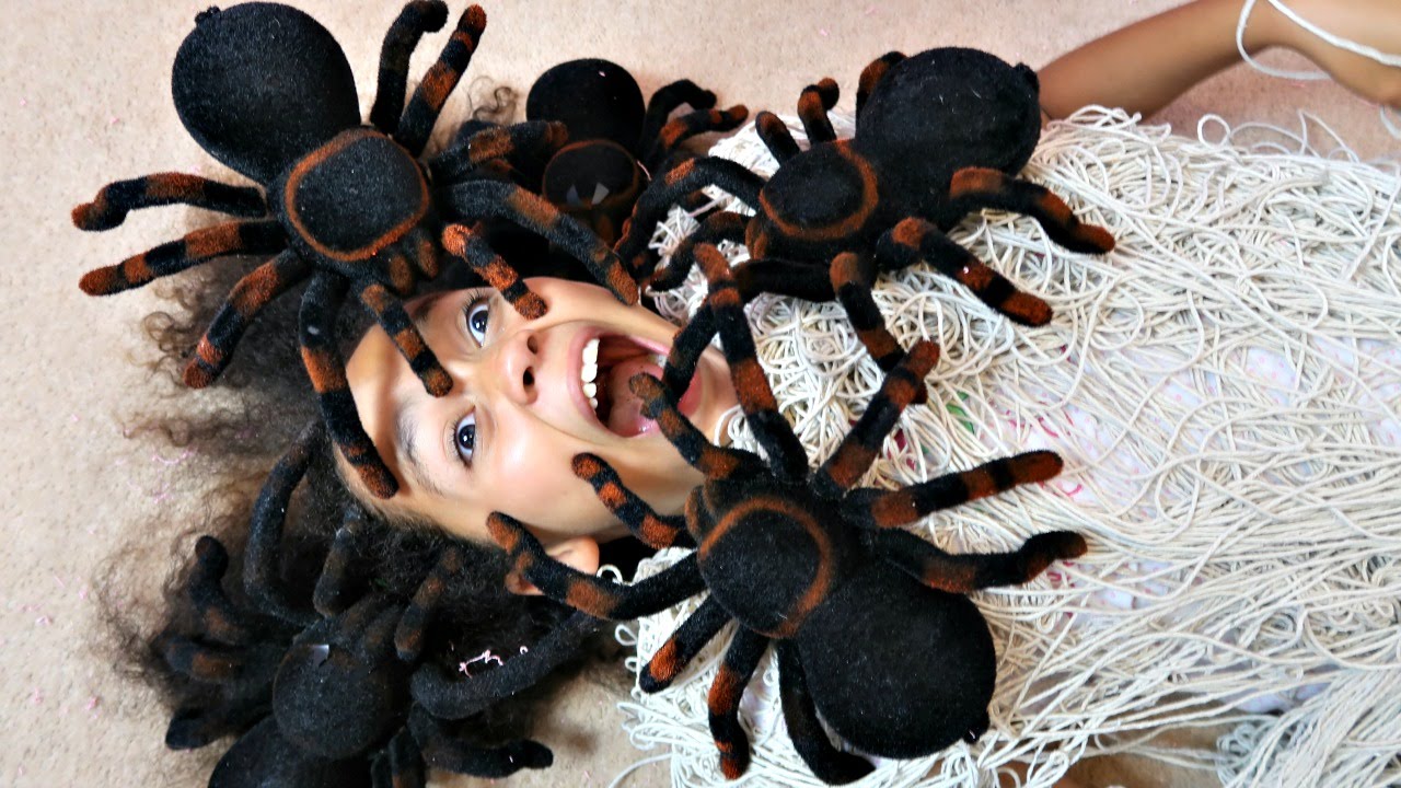 Good Morning To Everyone Except Spiders, Who Could Eat All Of Humanity