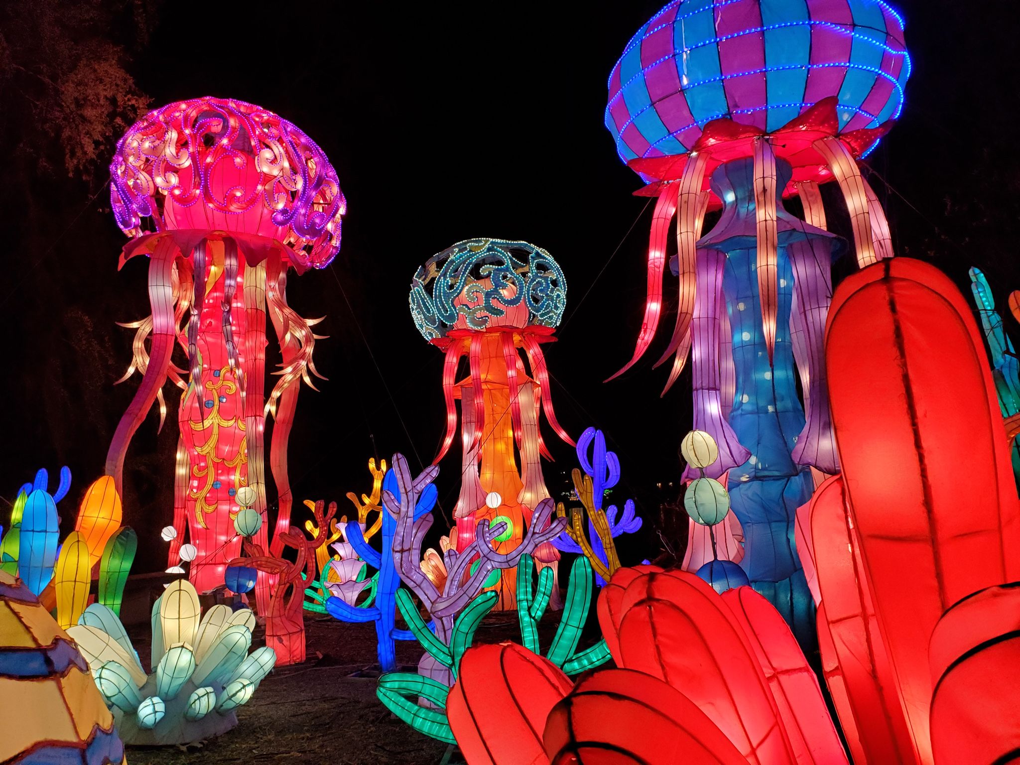 Asian Lantern Spectacular returns to Roger Williams Park Zoo April 13 July 4 What's Up Newp