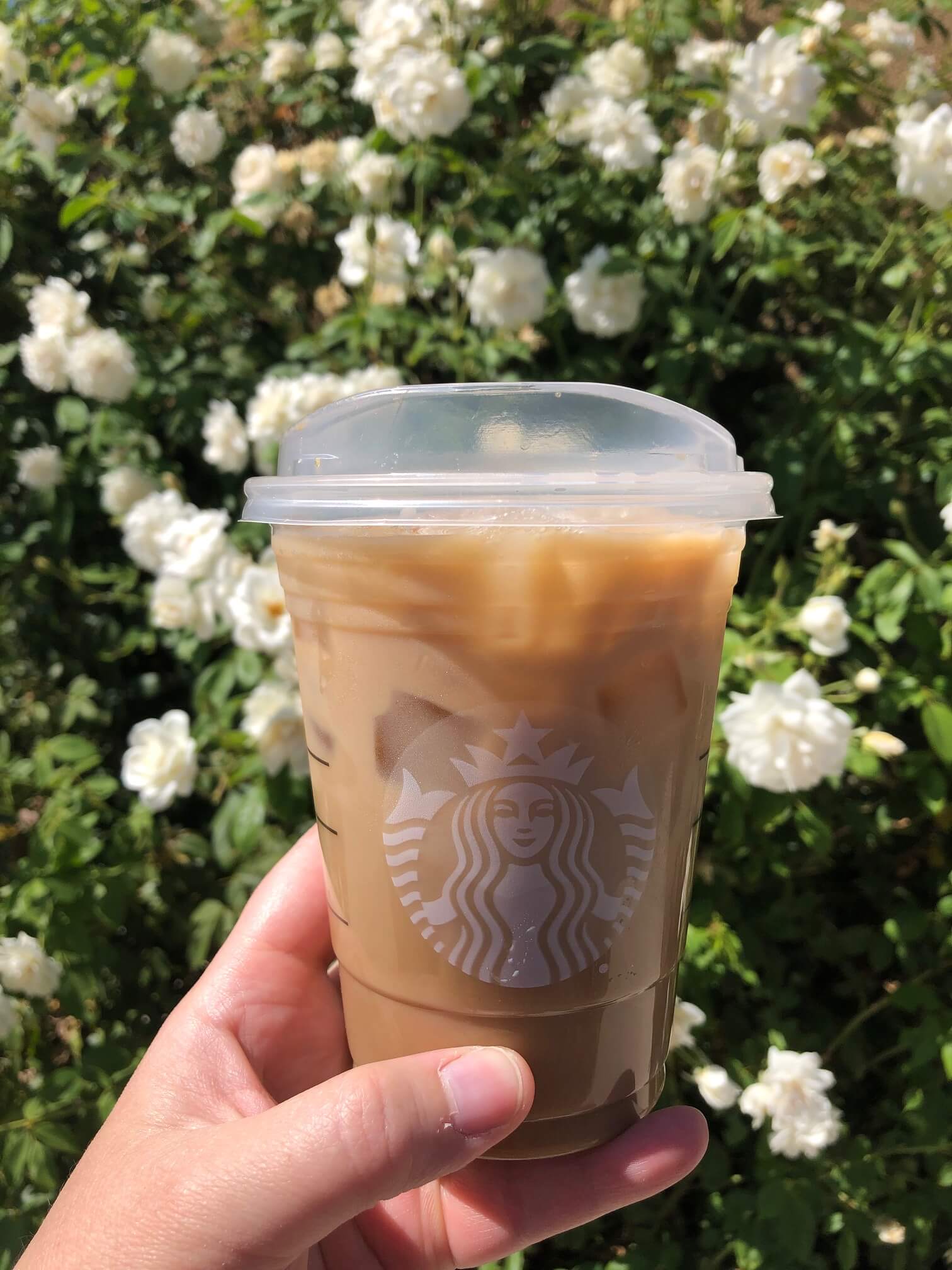 The Definitive Guide To Starbucks Chai Tea Latte What The Froth