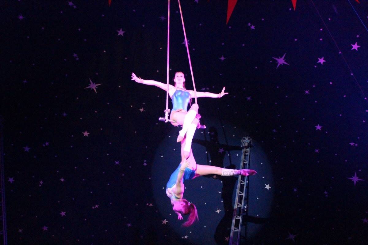Christmas Circus at Squire's Garden Centre What the Redhead said
