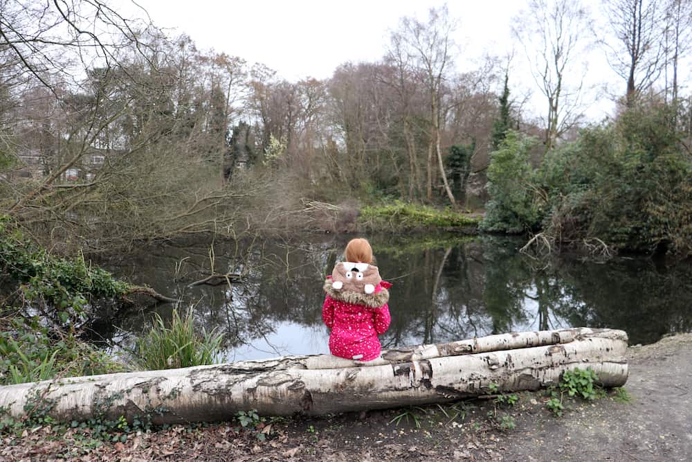 Exploring Watchetts Lakes Camberley What the Redhead said