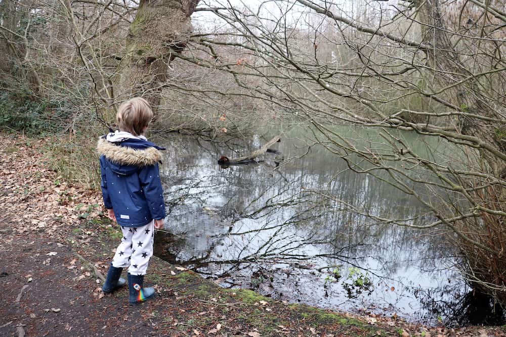 Exploring Watchetts Lakes Camberley What the Redhead said