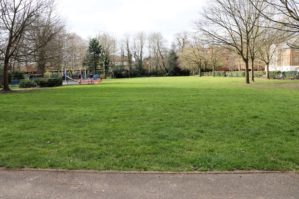 Exploring Camberley Park What the Redhead said