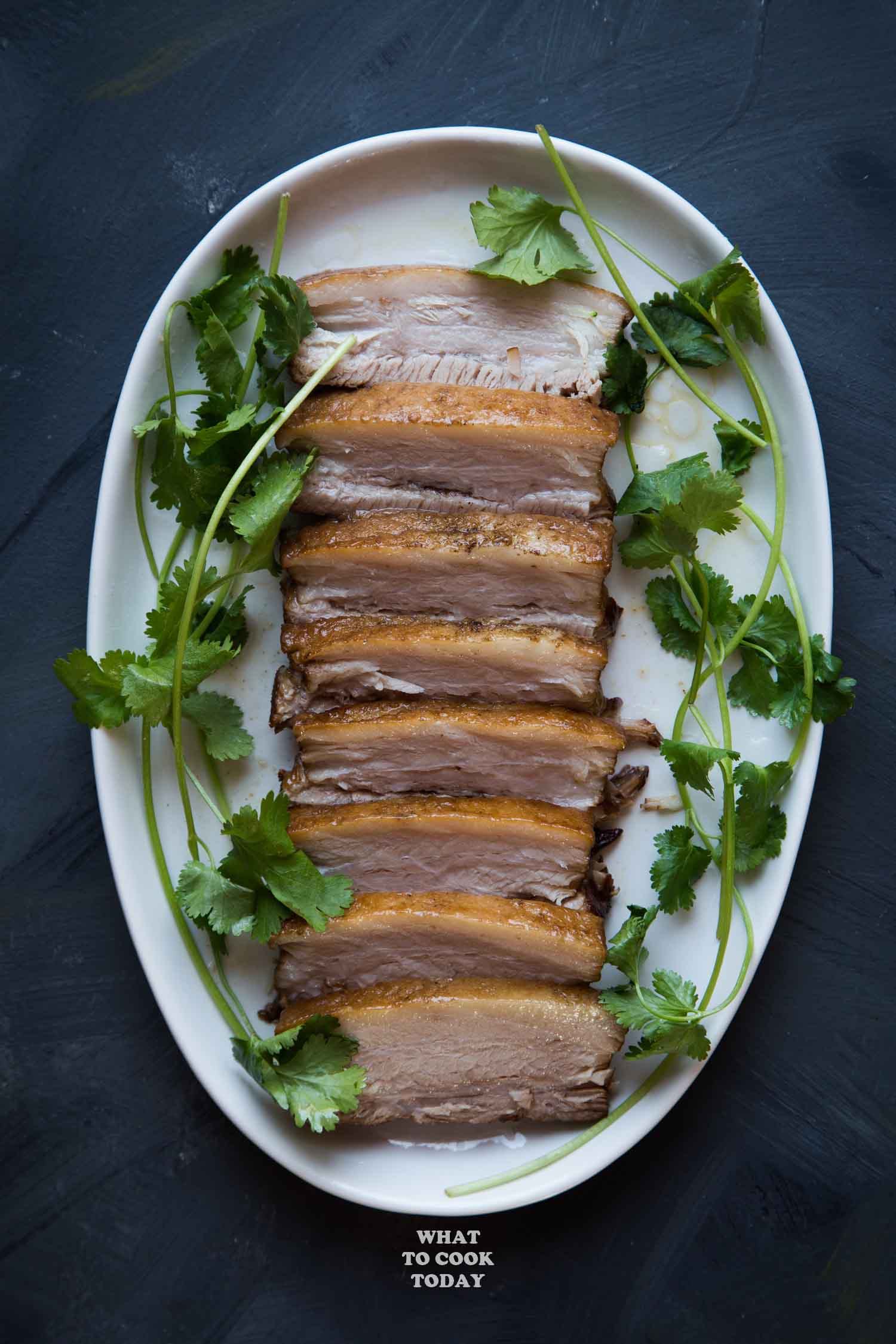 Pressure Cooker Kong Bak (Chinese Braised Pork Belly)