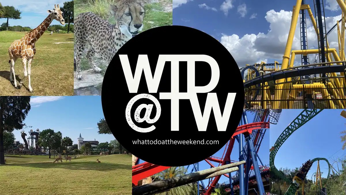 Busch Gardens Busch Gardens Tampa Bay Things to do Florida