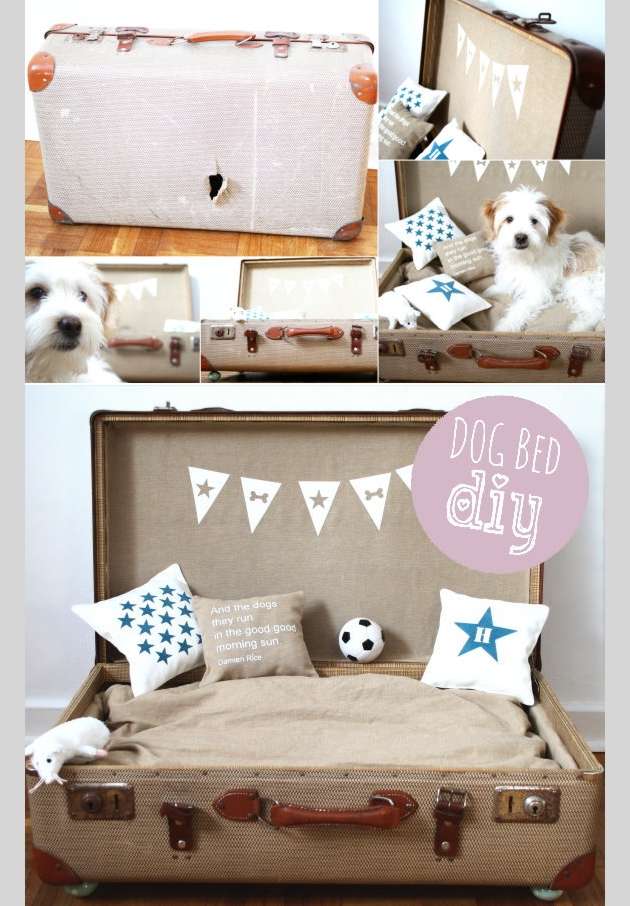 WhatToDoWithOld What To Do With Old Suitcases?