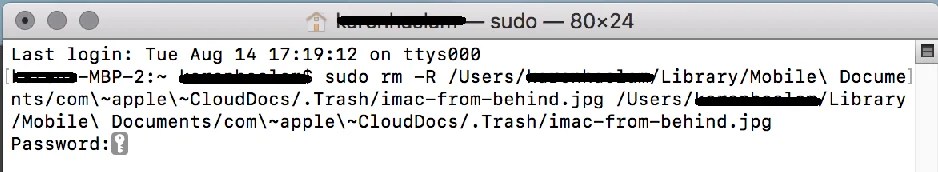 4 Ways to Empty trash on Mac to Permanently delete files 3 4 Ways to Empty trash on Mac to Permanently delete files 3