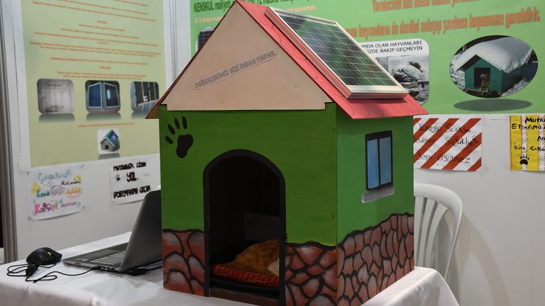 Two High School Students Invented A SolarHeated Dog House To Protect