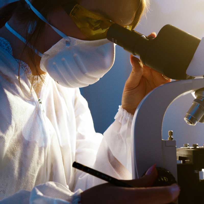 Women’s Health Collective Canada the IWK Foundation as Its